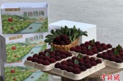梦见生活高速赋能产业升级：一条“杨梅路”的致富密码